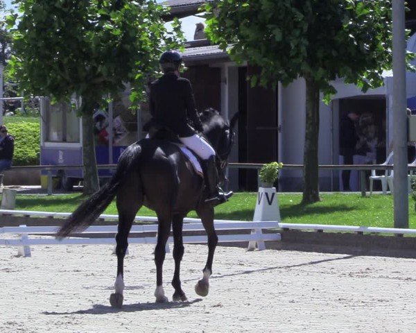 Reitturnier Fröndenberg 2024