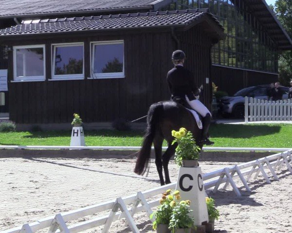 Reitturnier Fröndenberg 2024