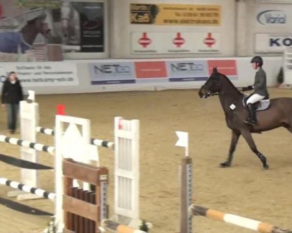 Hallenspringturnier in Borken 2013