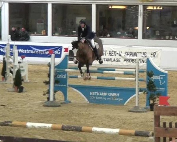 Hallenspringturnier in Borken 2013