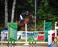 Springpferd Negra van Schotten (Deutsches Sportpferd, 2013, von Nerrado)