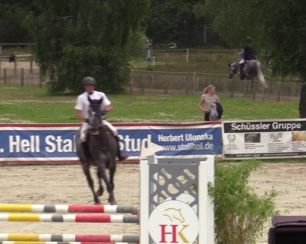 Reitturnier Westergellersen 2024