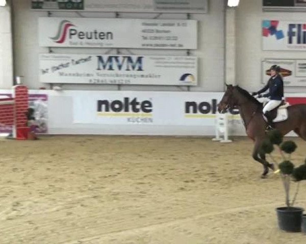Hallenspringturnier in Borken 2013