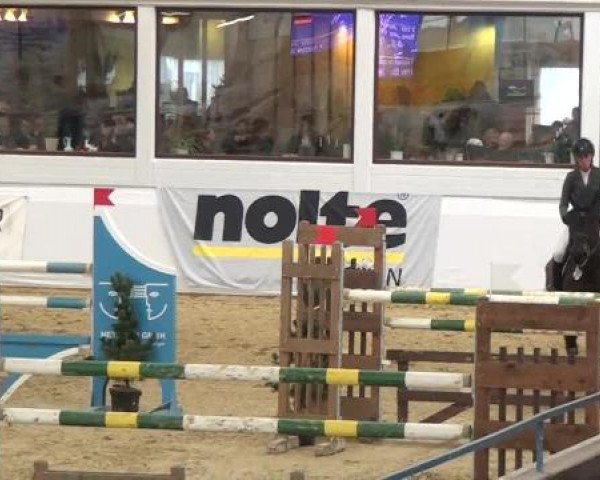 Hallenspringturnier in Borken 2013