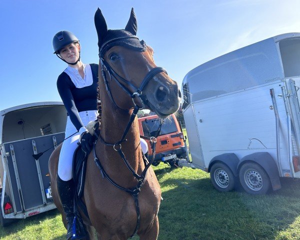 horse Lanciano 90 (Trakehner, 2018, from Mescalero)