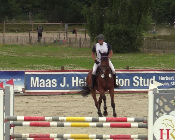 Reitturnier Westergellersen 2024
