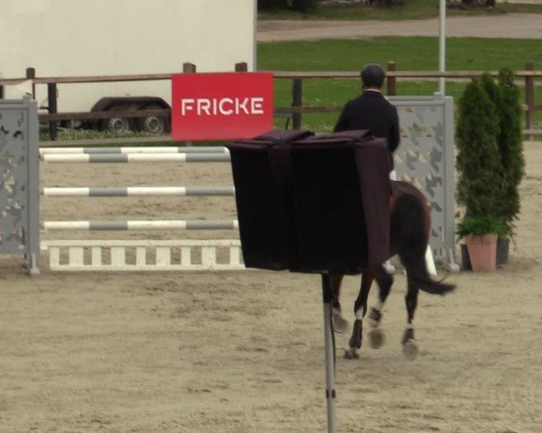 Reitturnier Westergellersen 2024