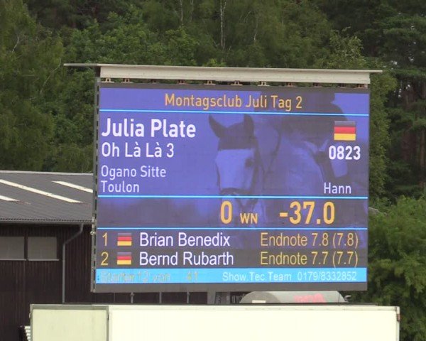 Reitturnier Westergellersen 2024