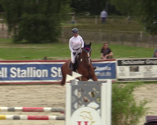 Reitturnier Westergellersen 2024