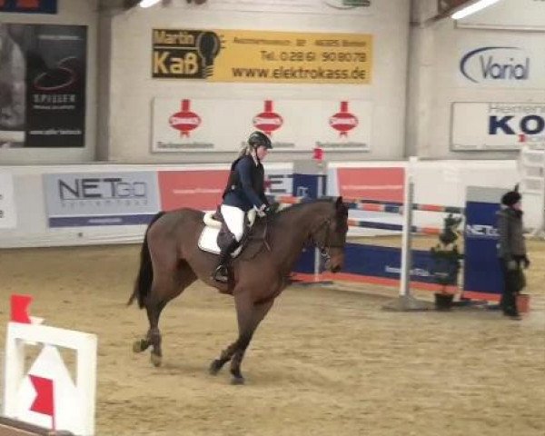 Hallenspringturnier in Borken 2013