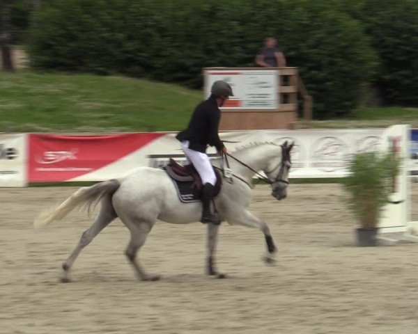 Reitturnier Westergellersen 2024
