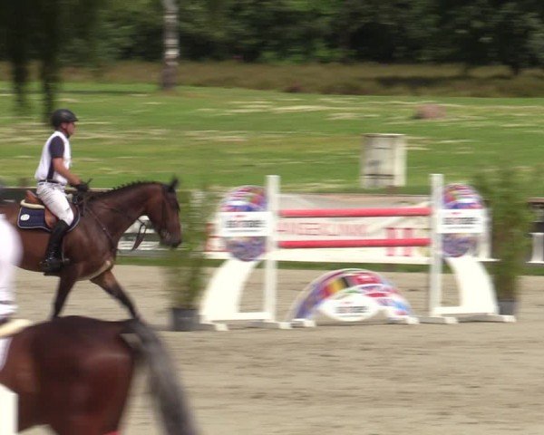 Reitturnier Westergellersen 2024