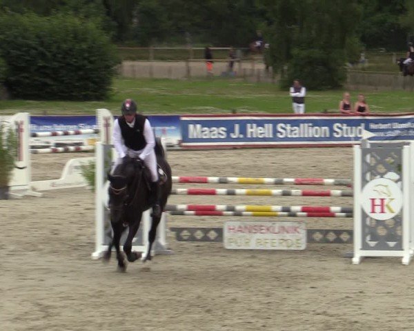 Reitturnier Westergellersen 2024