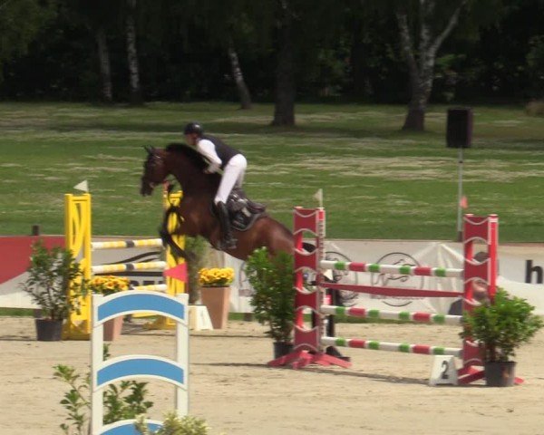 Reitturnier Westergellersen 2024