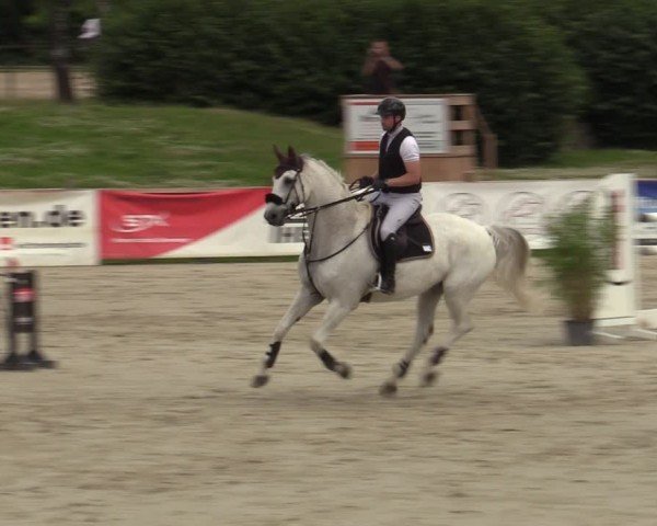 Reitturnier Westergellersen 2024