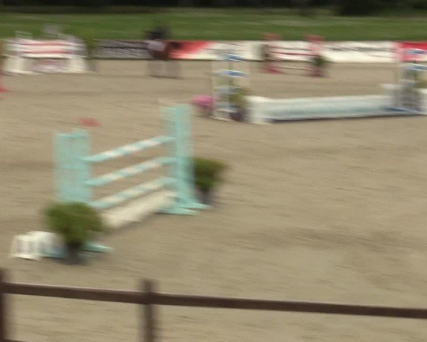 Reitturnier Westergellersen 2024