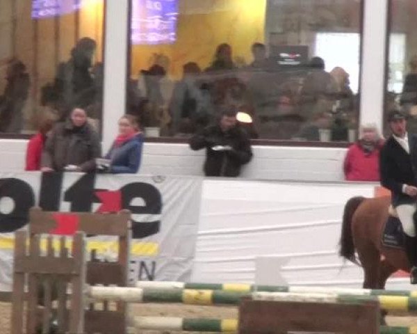 Hallenspringturnier in Borken 2013