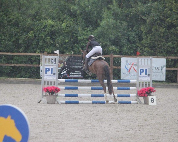 jumper Praline von der Wiesharde (German Riding Pony, 2020, from DSP Cosmo Royale)
