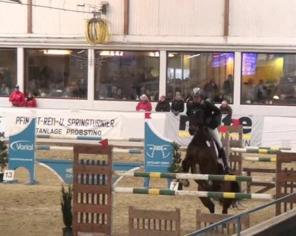 Hallenspringturnier in Borken 2013