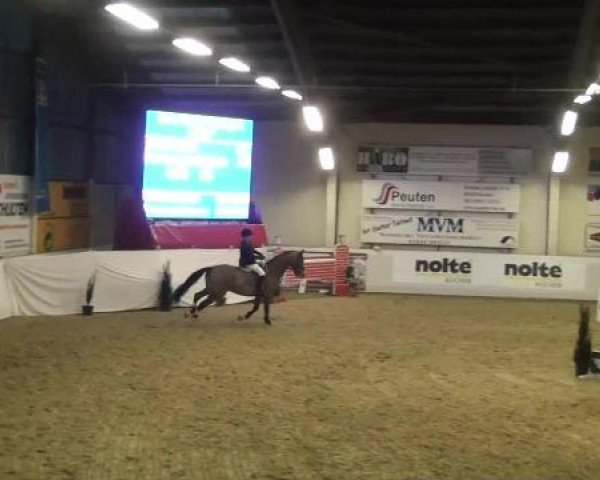 Hallenspringturnier in Borken 2013
