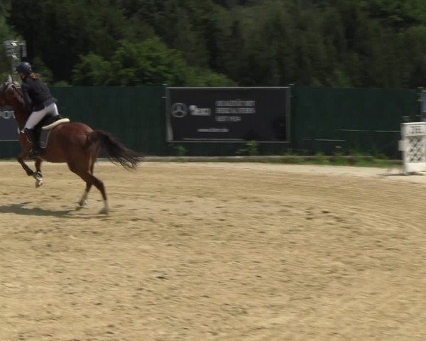 Reitturnier Lindlar-Süttenbach 2024