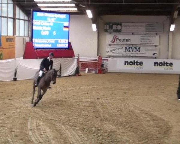 Hallenspringturnier in Borken 2013