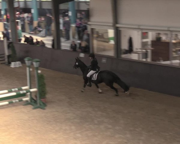 Reitturnier Legden 2021
