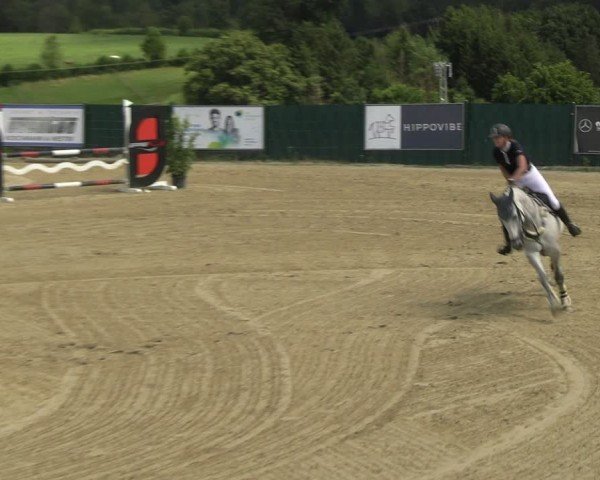 Reitturnier Lindlar-Süttenbach 2024