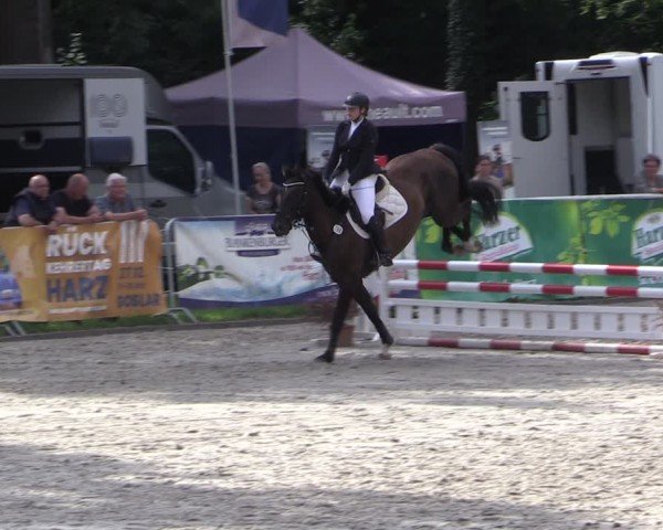 Reitturnier Prussendorf 2024