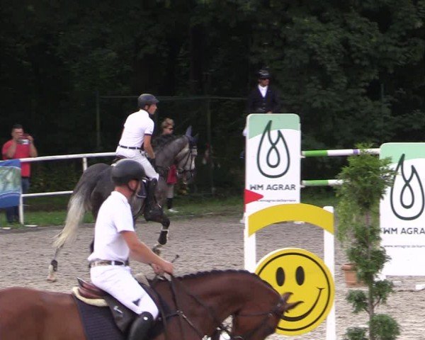 Reitturnier Prussendorf 2024