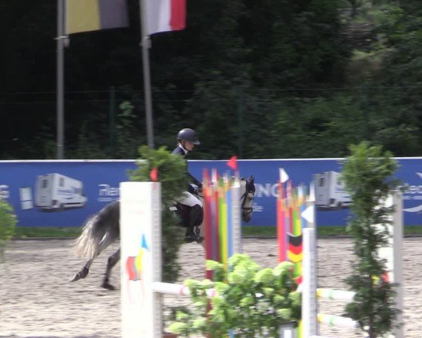 Reitturnier Prussendorf 2024