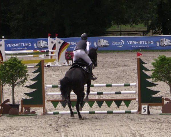 Reitturnier Prussendorf 2024