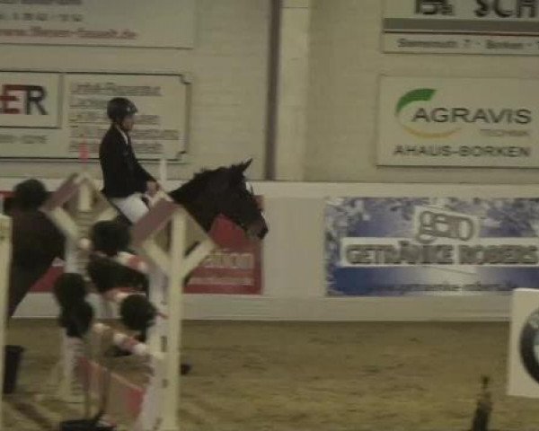 Hallenspringturnier in Borken 2013