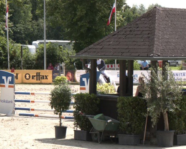 Reitturnier Münster-Roxel 2024