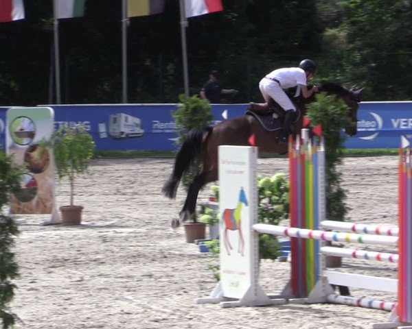 Reitturnier Prussendorf 2024