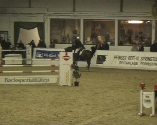 Hallenspringturnier in Borken 2013