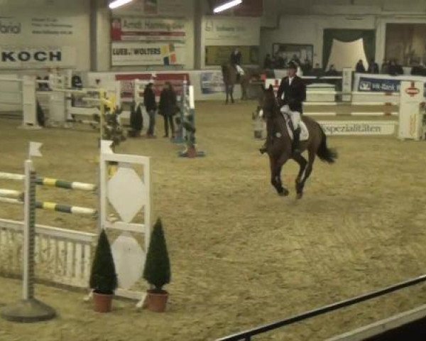 Hallenspringturnier in Borken 2013