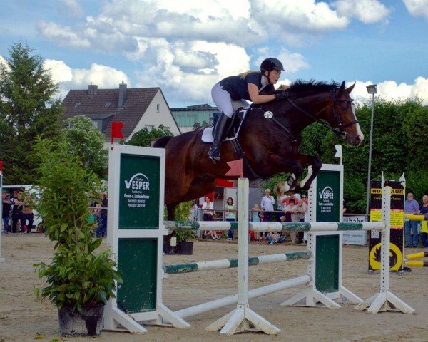 jumper Independence 12 (Westphalian, 2009, from It's Me du Mesnil)