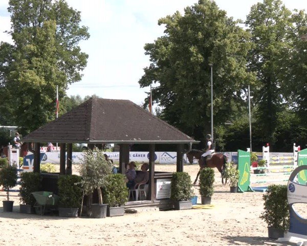 Reitturnier Münster-Roxel 2024