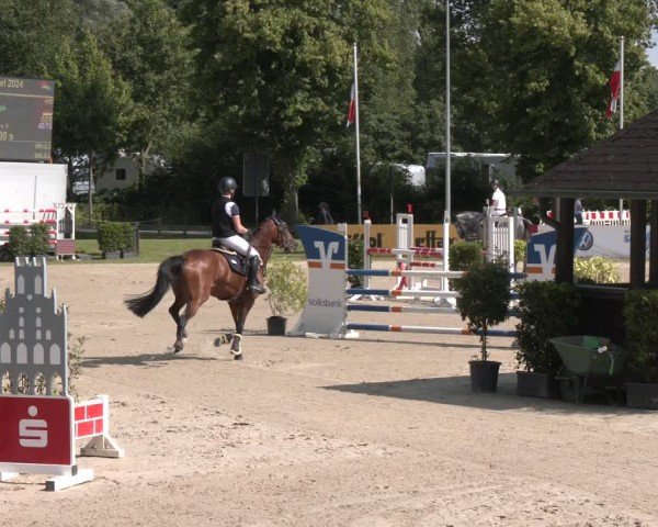 Reitturnier Münster-Roxel 2024