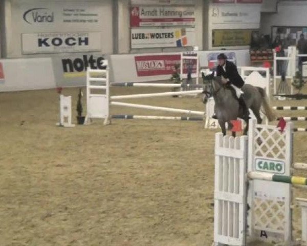 Hallenspringturnier in Borken 2013