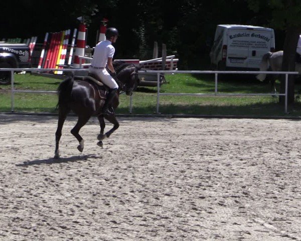 Reitturnier Prussendorf 2024