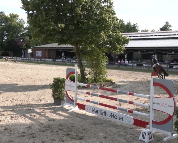 Reitturnier Münster-Roxel 2024
