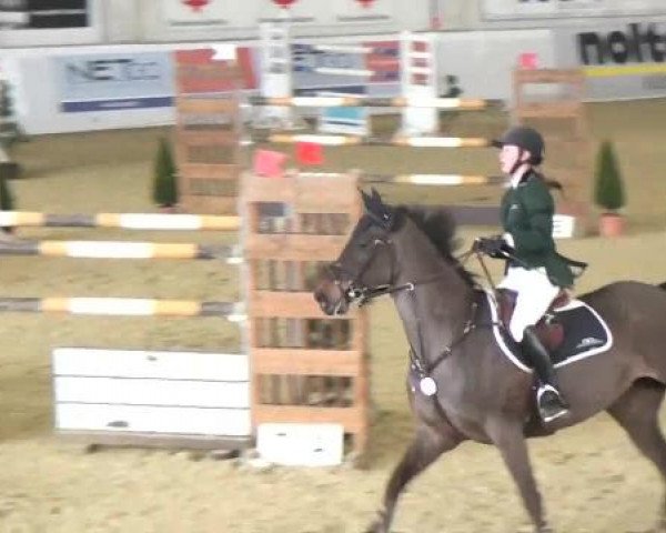 Hallenspringturnier in Borken 2013