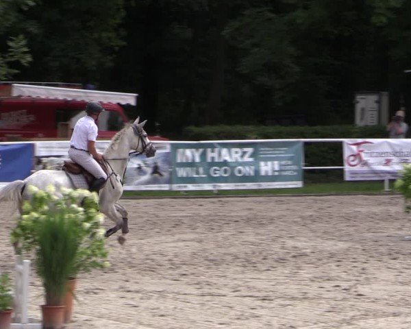 Reitturnier Prussendorf 2024