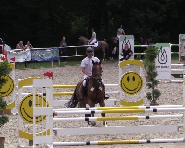 Reitturnier Prussendorf 2024