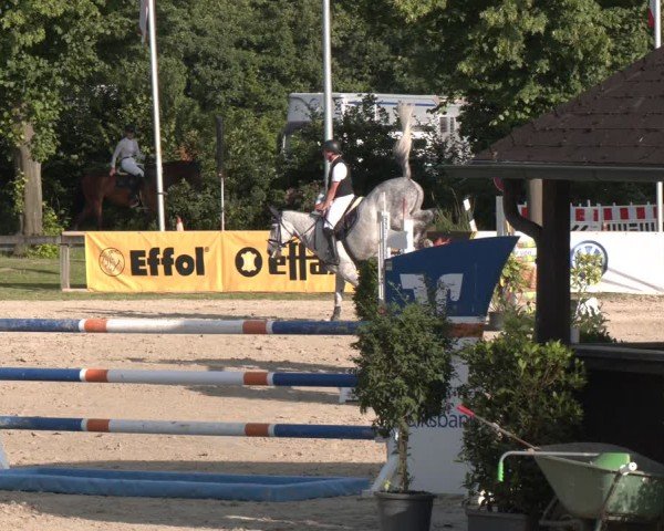 Reitturnier Münster-Roxel 2024