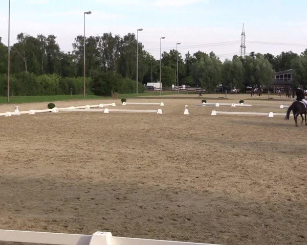 Reitturnier Münster-Roxel 2024