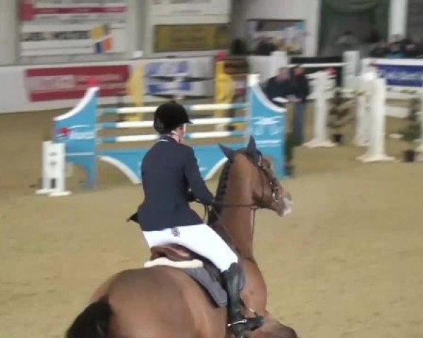 Hallenspringturnier in Borken 2013