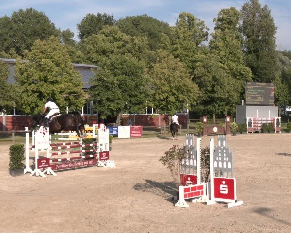 Reitturnier Münster-Roxel 2024
